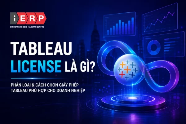 Tableau License